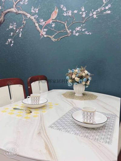 广西洪辉家居科技有限公司