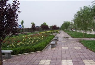 陕西乔盛园林科技工程有限公司