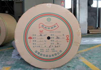 淄博新华纸业有限公司