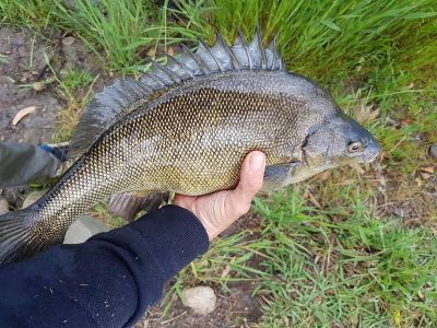 海南浩丰渔业科技发展有限公司