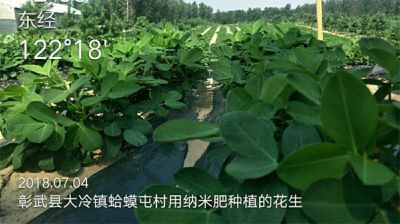 沈阳美华农业有限公司