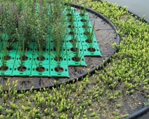 河北雄安荷景园林绿化工程有限公司