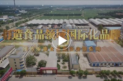 潍坊乐港食品股份有限公司