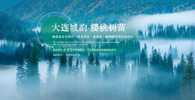 大连城韵家庭农场有限公司