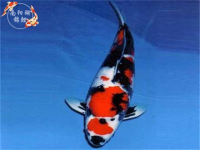 济宁富垄农业科技股份有限公司