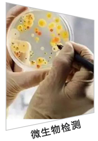 山东沃高实验仪器有限公司