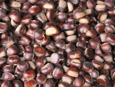 迁西县玉英板栗专业合作社