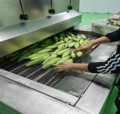 成都威莱尔低温设备有限公司