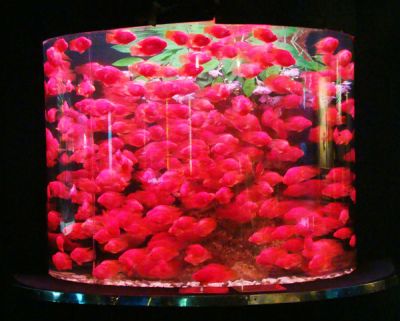 北京诚信鱼悦科技发展有限公司