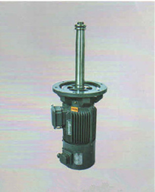 仪征真得电机有限公司