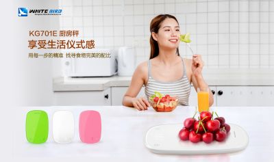 中山百鸟电子有限公司