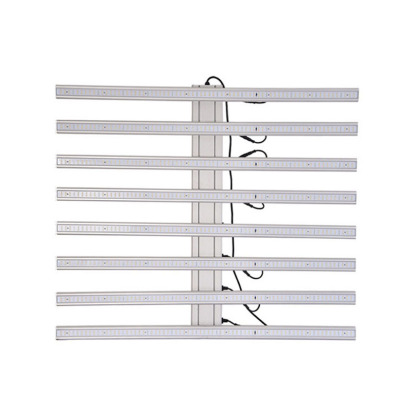 中山绿旺光电科技有限公司