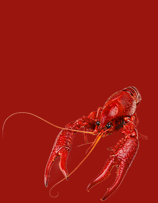 天门市鑫天农业发展有限公司