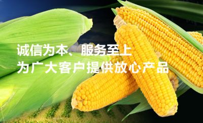 乐亭县昌泰食品有限公司