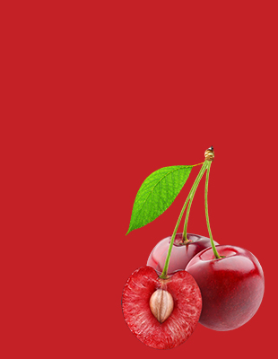 乐亭县金田果菜有限公司