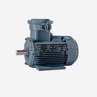 丹东黄海电机有限公司