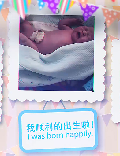 内蒙古）有限公司