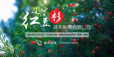 辽宁红豆杉技术发展有限公司