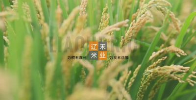 辽宁盘锦辽禾米业有限公司