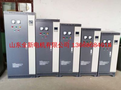 山东全新电机有限公司