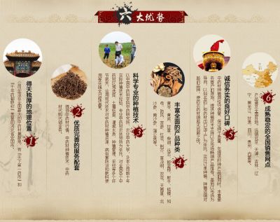 安国麒翼中药材种植技术开发有限公司