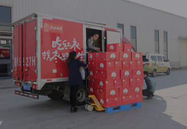 山东枣粮先生生物科技有限公司