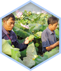 赣州鲜莲科技有限公司