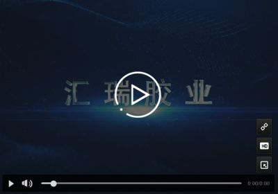 东莞市汇瑞胶业有限公司