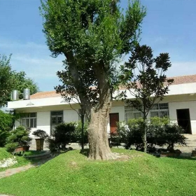 武汉绿意山水园林工程有限公司