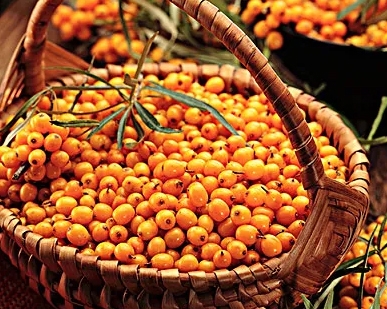 内蒙古生态治理内蒙古淳点实业有限公司