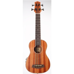 惠州市惠阳区秋长昌韵乐器厂