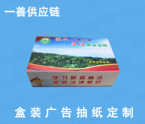 南宁市一善供应链有限公司