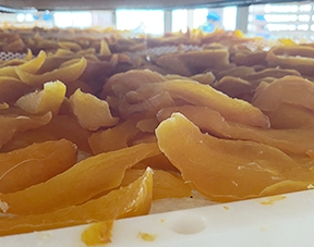 泉州玖发机械有限公司