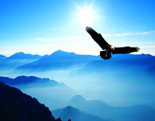 东莞市新桥联复合材料科技有限公司