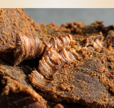 青岛青松食品科技有限公司