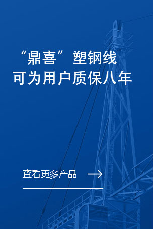 山东鼎和塑业有限公司