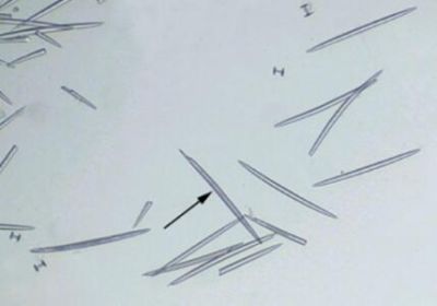 河南大科教学仪器有限公司