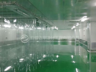 安徽飞宇净化工程有限公司