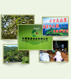 东莞星满食品有限公司