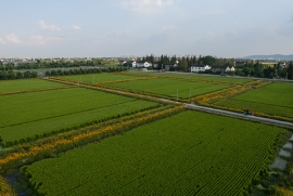 仙桃市洪渊泽水产养殖专业合作社