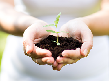 桐乡市华林苗木专业合作社