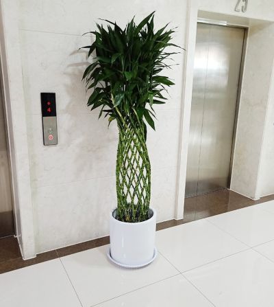 山东览月园林工程有限公司