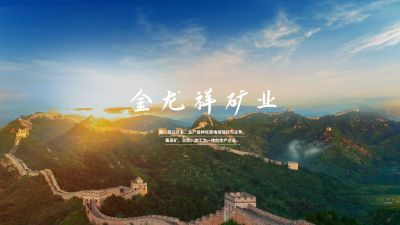 大石桥市金龙祥矿业有限公司