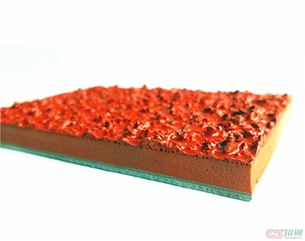 四川川粤体育设施工程有限公司