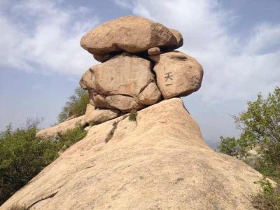 南京蓝鲸人网络科技有限公司