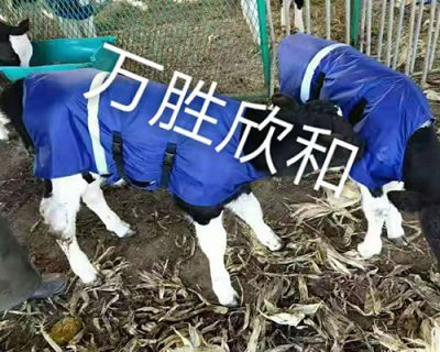 乌鲁木齐万胜欣和畜牧设备有限公司