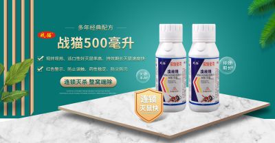 河南润农实业有限公司