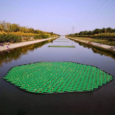 安新县琪水晟水生植物销售有限公司