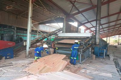 山东利森智能装备有限公司