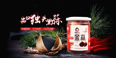 潍坊望源食品有限公司